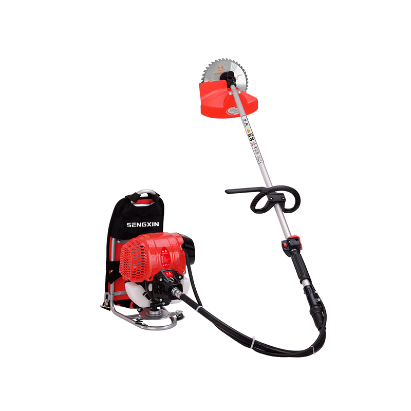 Tondeuse à gazon multifonction à essence avec sac à dos